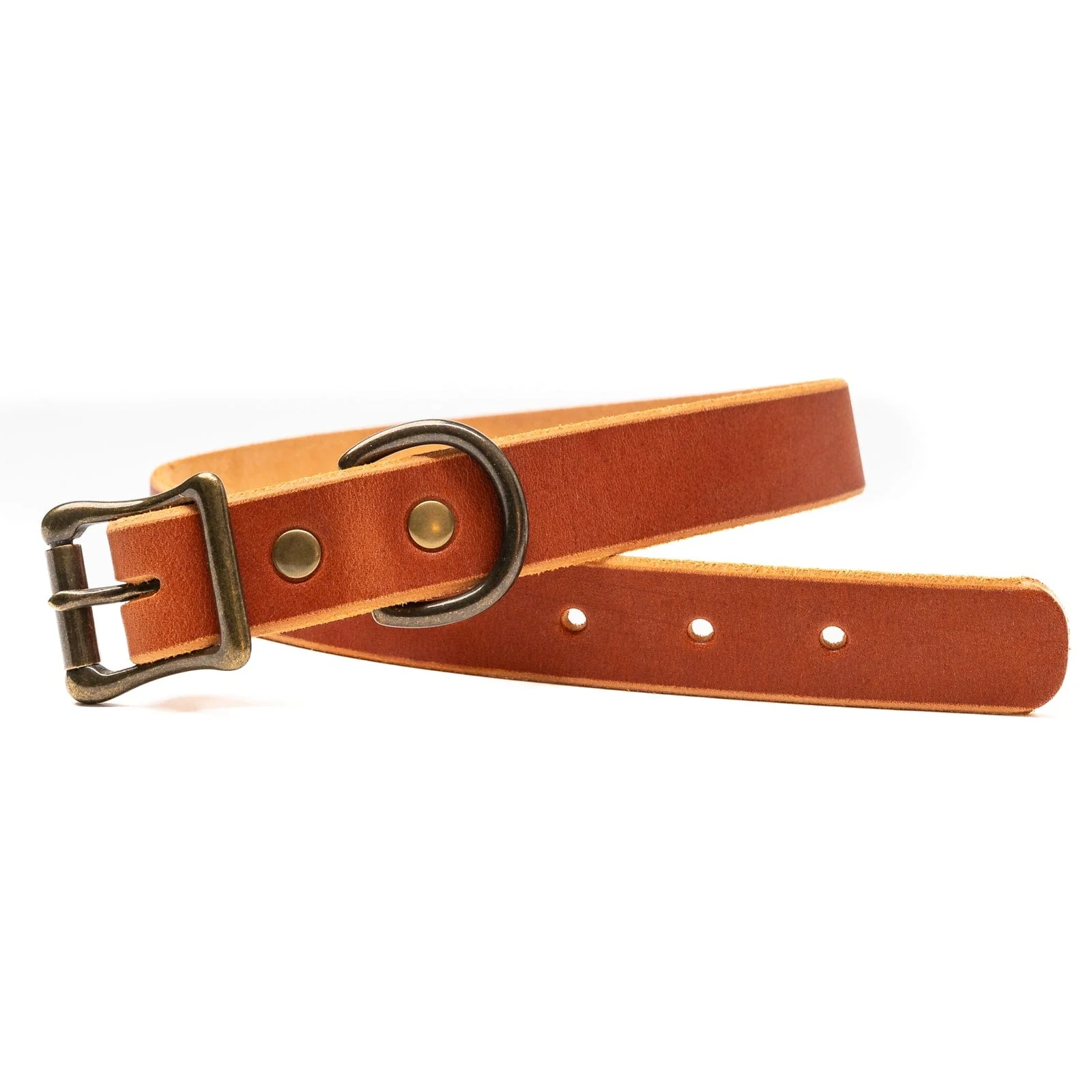 Matching Dog Collar & Leash Bundle - English Tan - Image 4